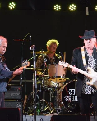 Memphis Tri-state Blues Festival Southaven