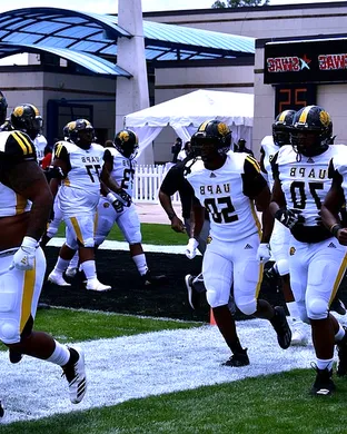 Arkansas-pine Bluff Golden Lions Football Memphis
