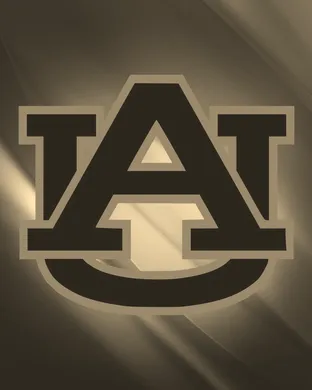 Auburn Tigers Football Oxford