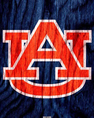 Auburn Tigers Oxford