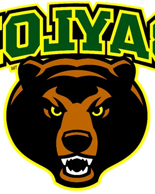 Baylor Bears Waco