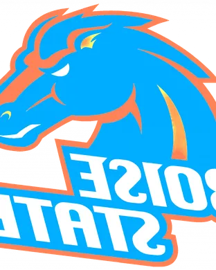 Boise State Broncos Football Boise