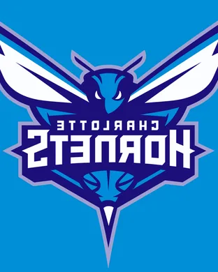 Charlotte Hornets Charlotte