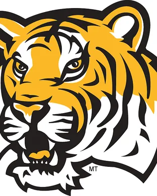 Lsu Tigers Oxford