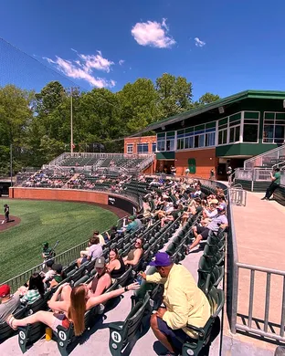 Charlotte 49ers Baseball Charlotte