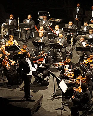 Orchestra Noir