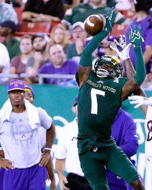 South Florida Bulls Football Tampa