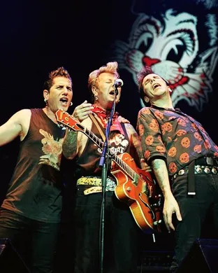 Stray Cats