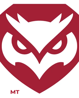 Temple Owls Memphis