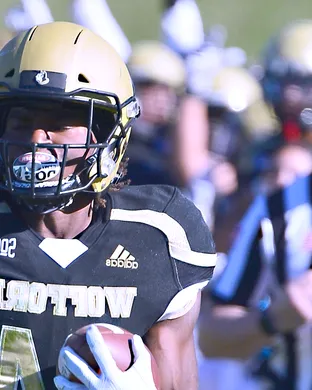 Wofford Terriers Football Oxford