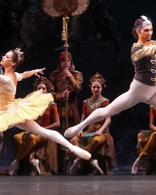 New Ballet Ensemble And School NutRemix